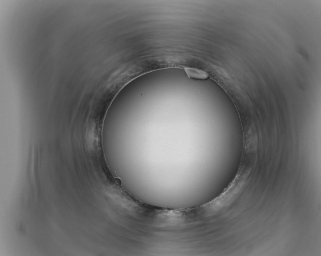 X0000112860140200908281612