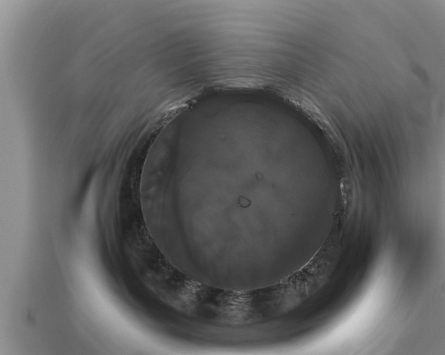 X0000112860143200908281612