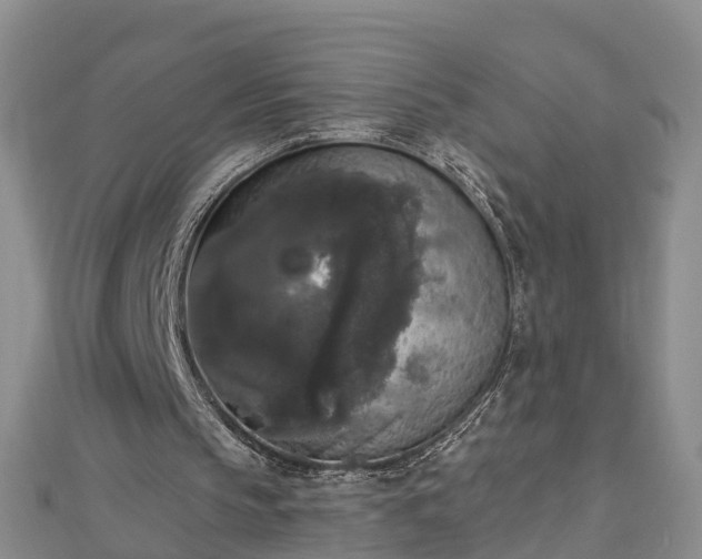 X0000112860145200908281611