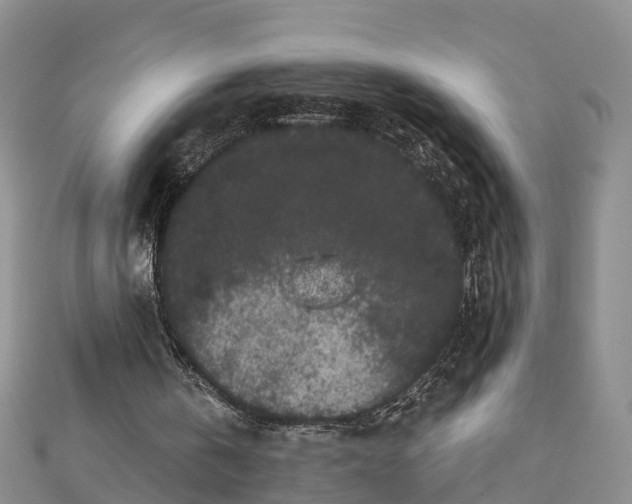 X0000112860146200908281611