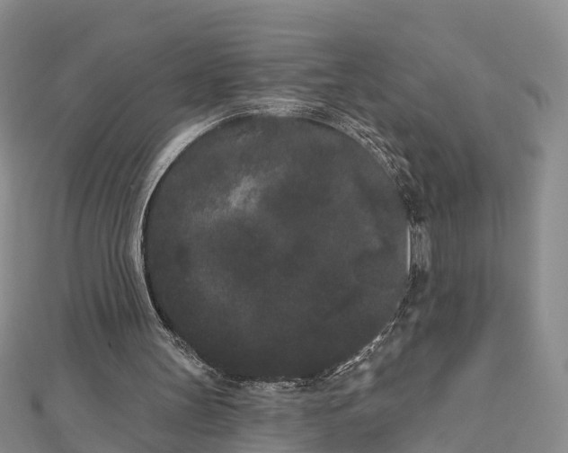 X0000112860147200908281611