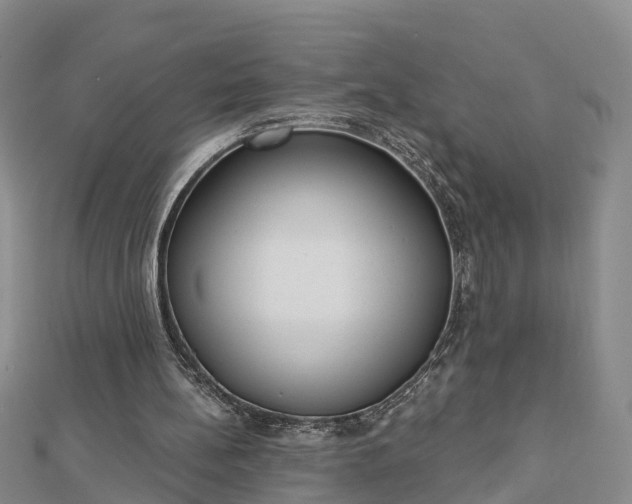 X0000112860148200908281611
