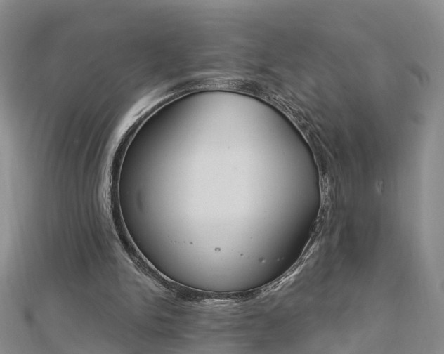 X0000112860150200908281611