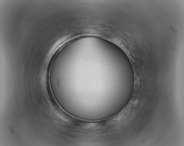 X0000112860151200908281611