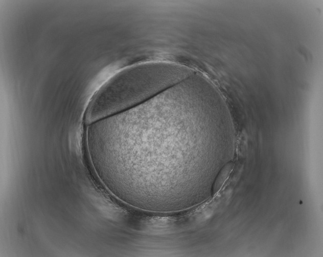 X0000112860152200908281611