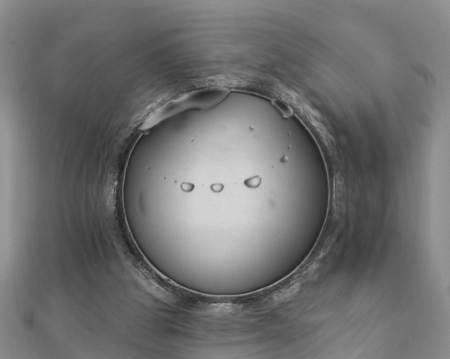 X0000112860153200908281611
