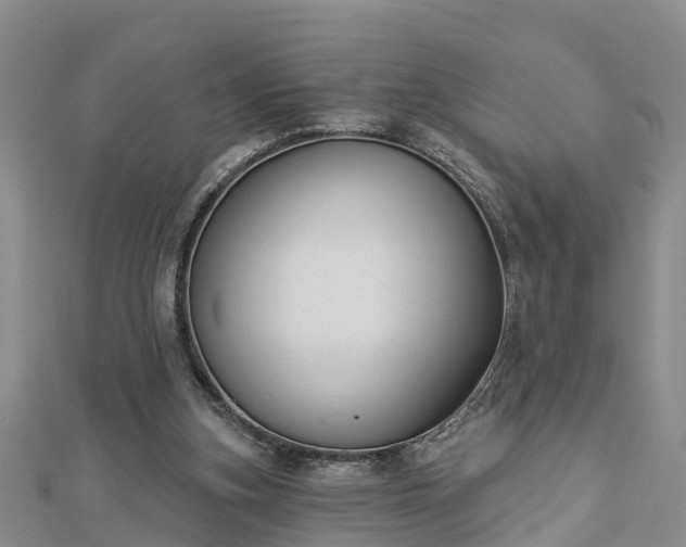 X0000112860155200908281611