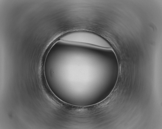 X0000112860156200908281611