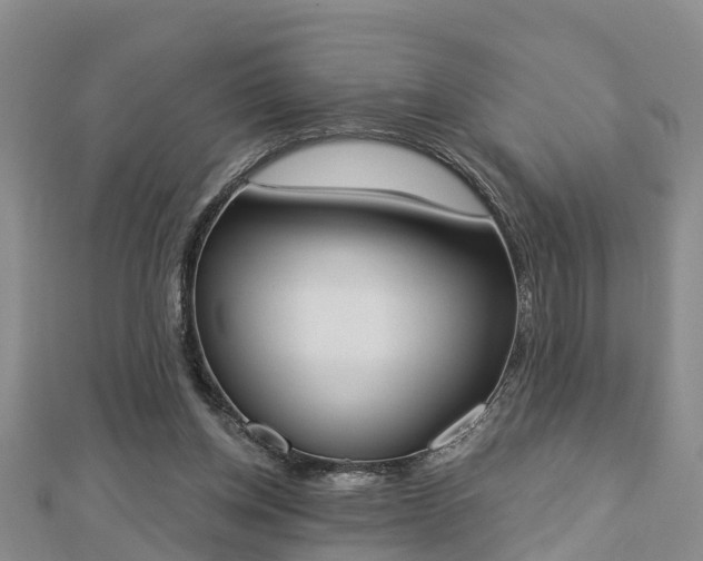 X0000112860158200908281611
