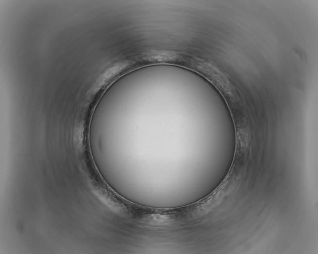 X0000112860159200908281611