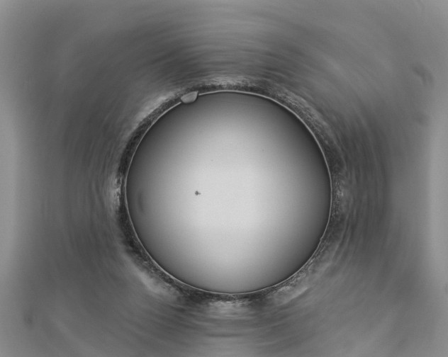 X0000112860160200908281611