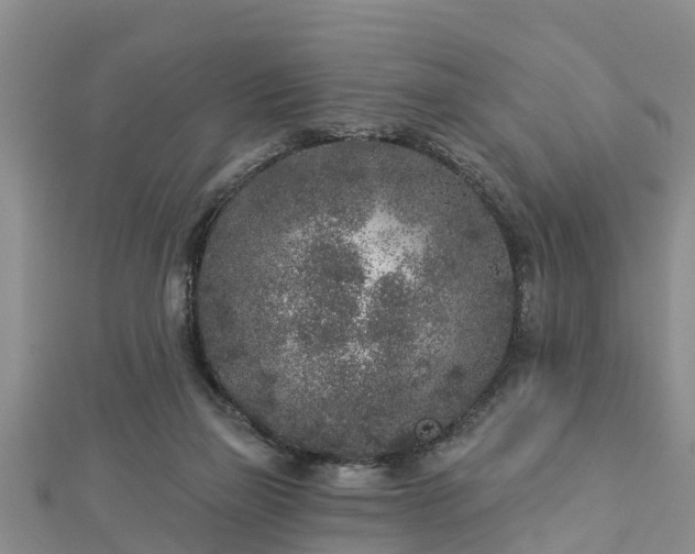X0000112860165200908281611