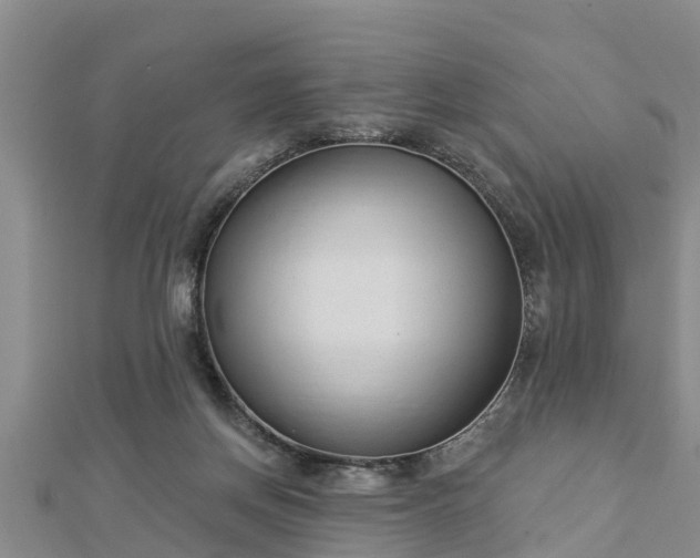 X0000112860166200908281611