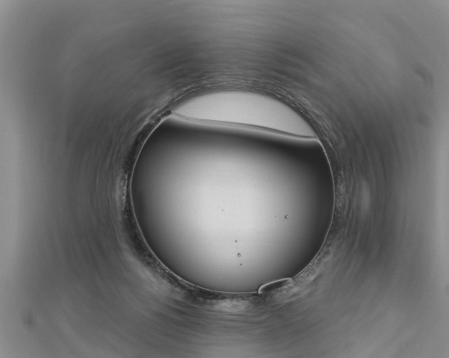 X0000112860168200908281611