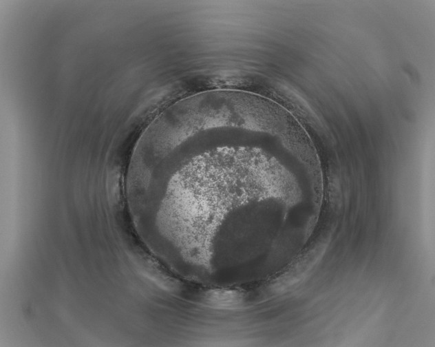 X0000112860169200908281611