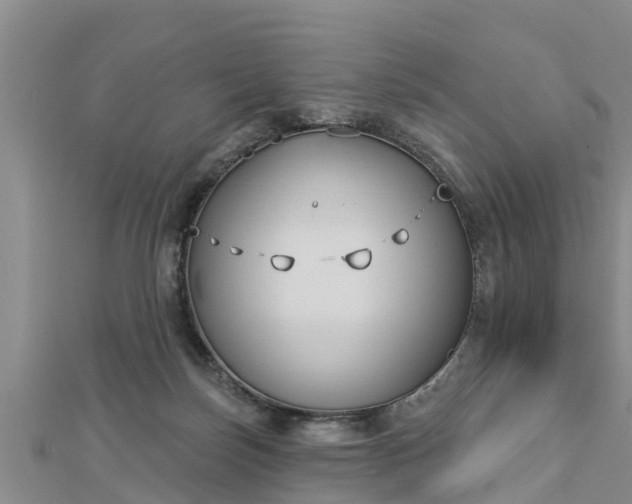 X0000112860171200908281611