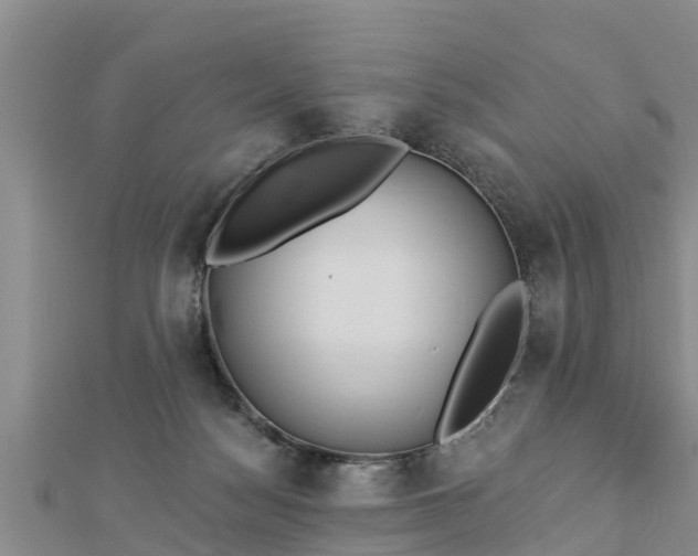 X0000112860172200908281611