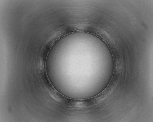 X0000112860173200908281611
