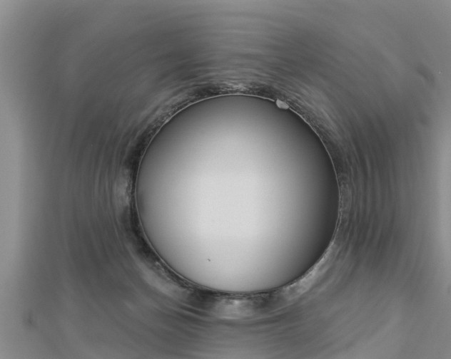 X0000112860174200908281611