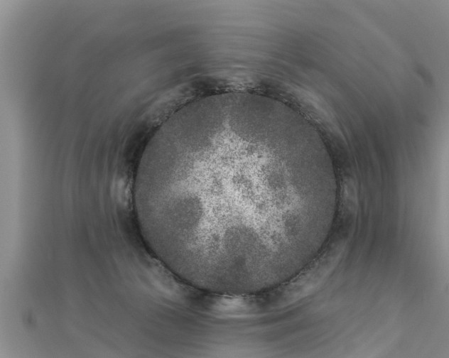 X0000112860177200908281611
