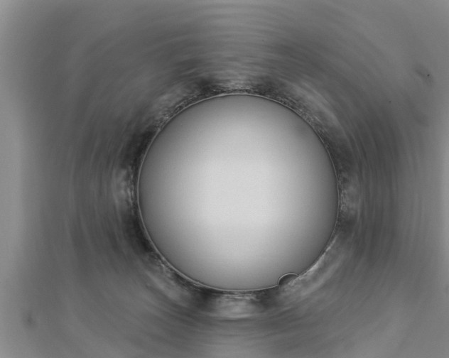 X0000112860179200908281611