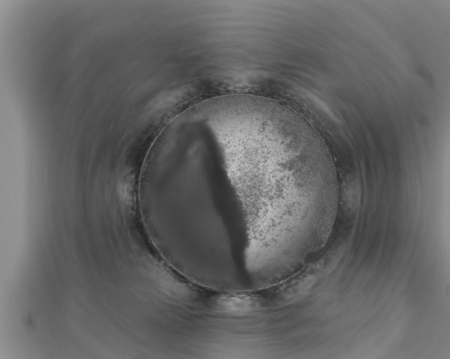 X0000112860181200908281611