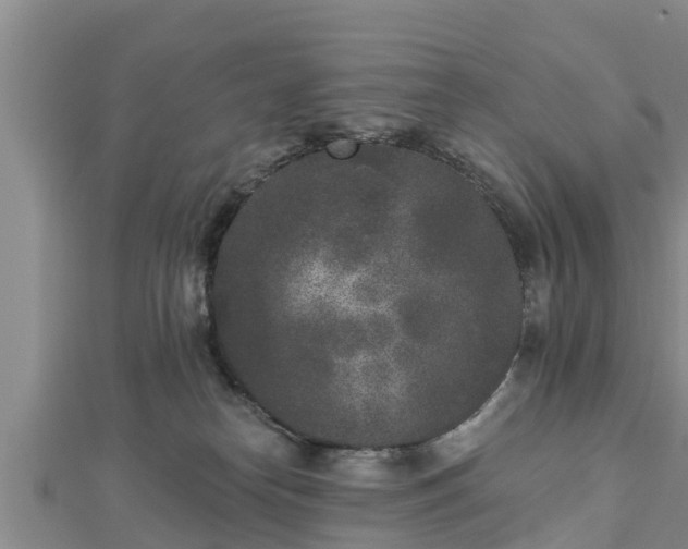 X0000112860182200908281611
