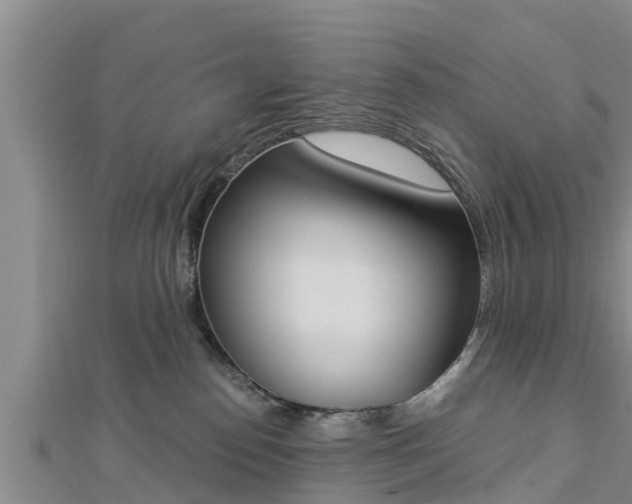 X0000112860186200908281612