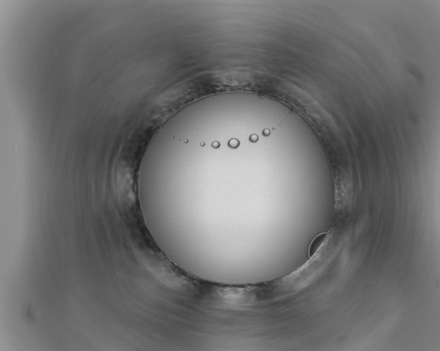 X0000112860187200908281612
