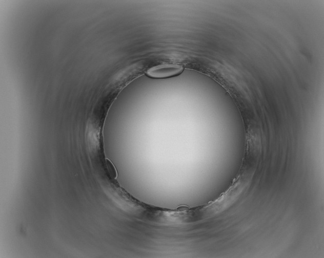 X0000112860188200908281612