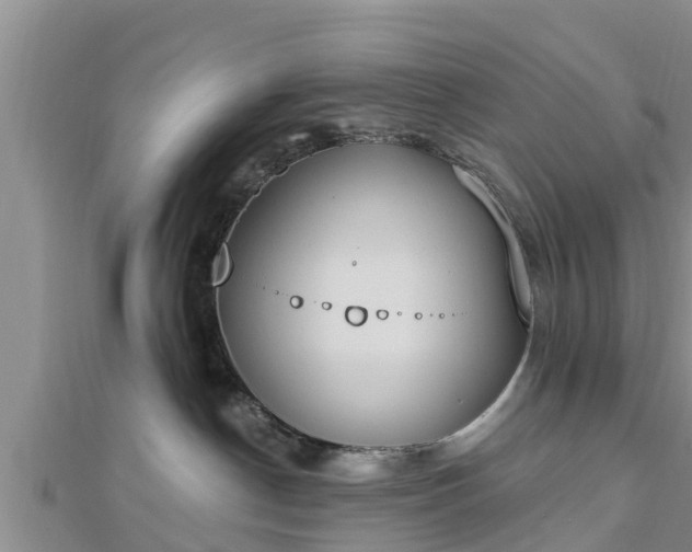 X0000112860190200908281612