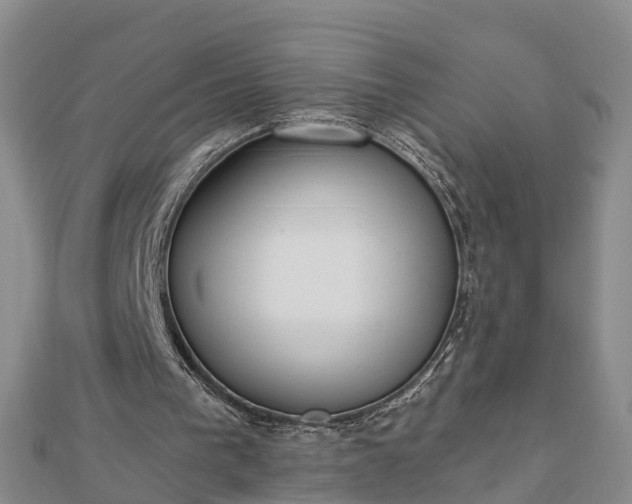 X0000112860193200908281611