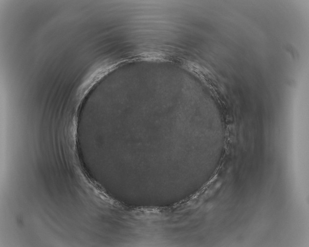 X0000112860194200908281611