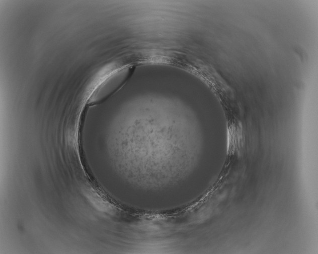 X0000112860195200908281611