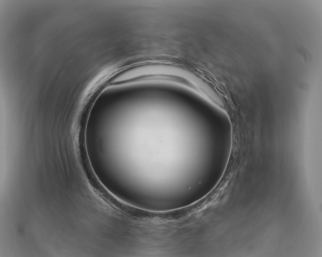 X0000112860197200908281611