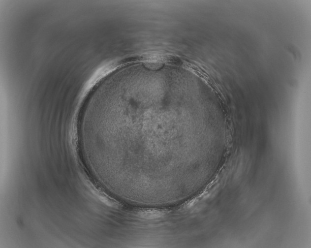 X0000112860198200908281611