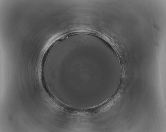 X0000112860199200908281611