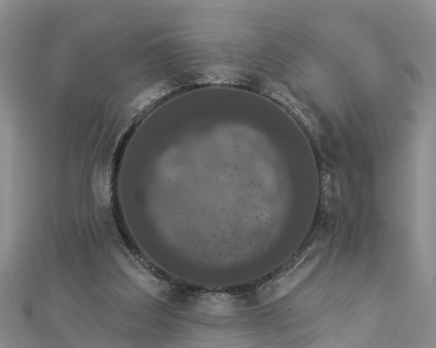 X0000112860203200908281611
