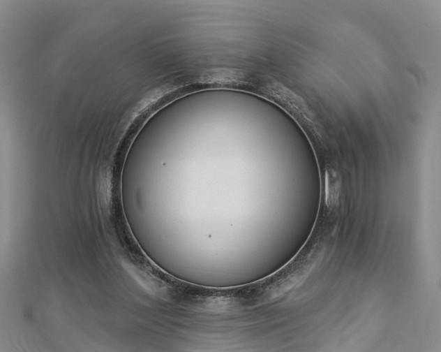 X0000112860204200908281611
