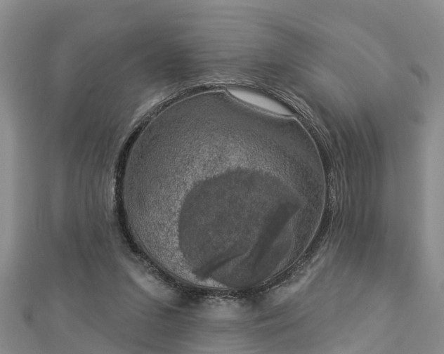 X0000112860207200908281611