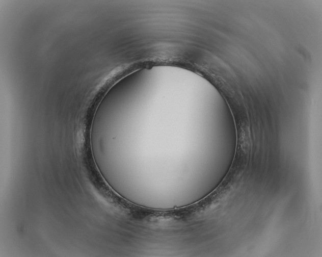 X0000112860208200908281611