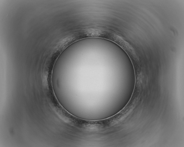 X0000112860209200908281611