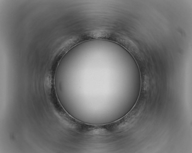 X0000112860210200908281611