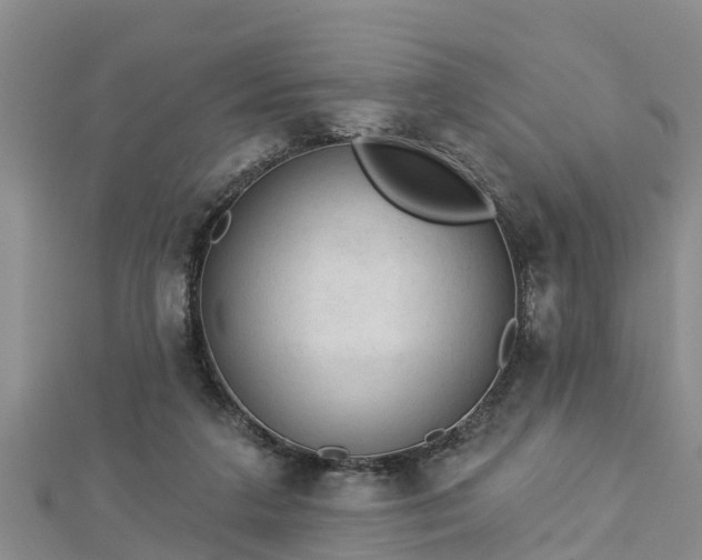 X0000112860211200908281611