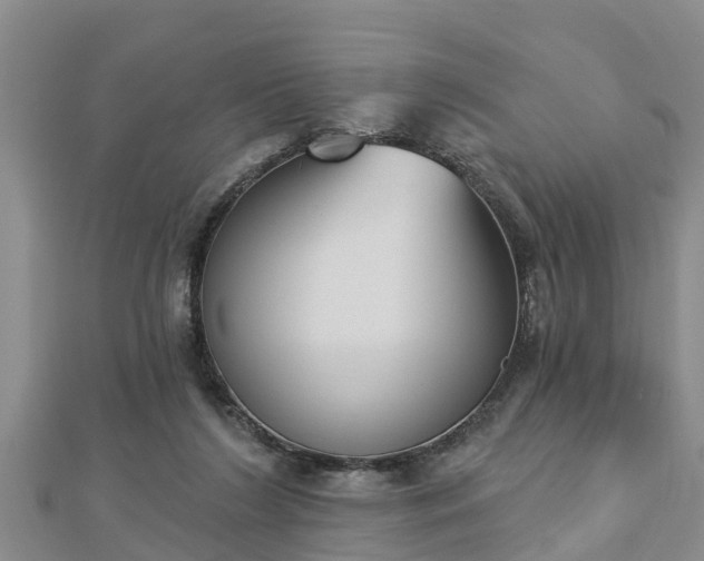 X0000112860212200908281611