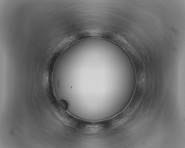 X0000112860213200908281611