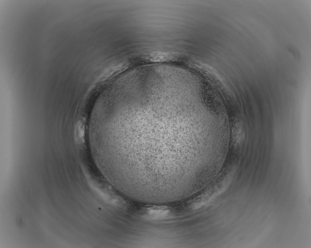 X0000112860214200908281611