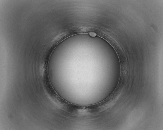 X0000112860216200908281611