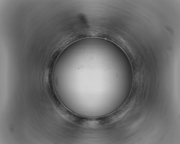 X0000112860217200908281611