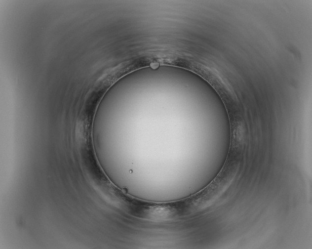 X0000112860218200908281611
